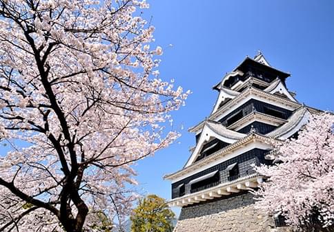 熊本地區